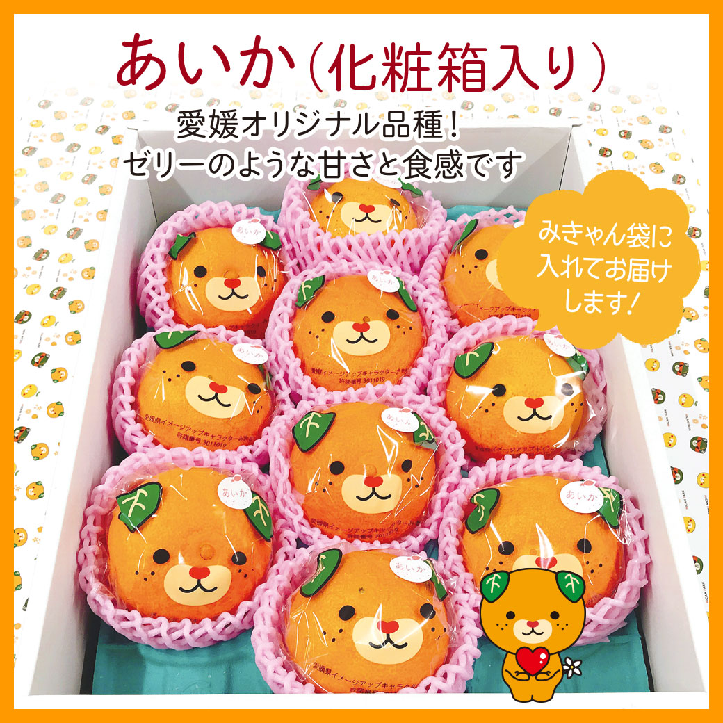 お知らせ みきゃんパーク 梅津寺